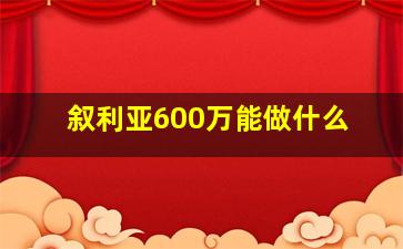 叙利亚600万能做什么