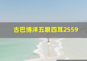 古巴博洋五眼四耳2559