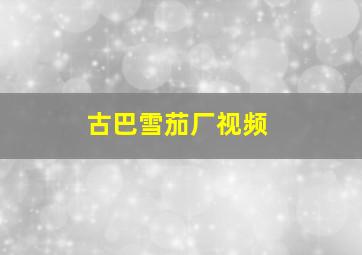 古巴雪茄厂视频