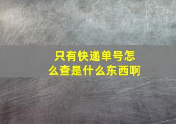 只有快递单号怎么查是什么东西啊