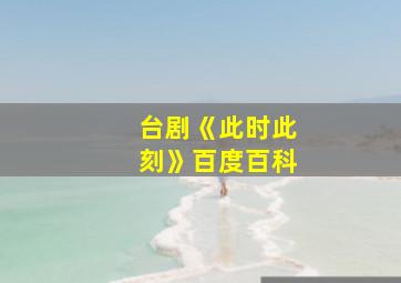 台剧《此时此刻》百度百科