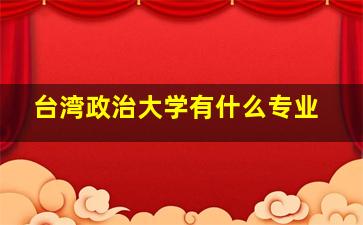 台湾政治大学有什么专业