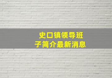 史口镇领导班子简介最新消息