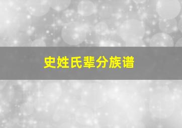 史姓氏辈分族谱