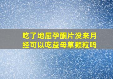 吃了地屈孕酮片没来月经可以吃益母草颗粒吗