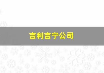 吉利吉宁公司