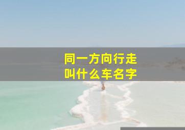 同一方向行走叫什么车名字