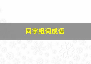 同字组词成语