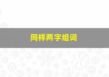 同样两字组词