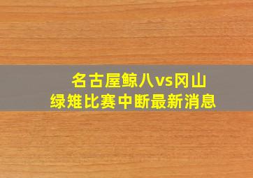 名古屋鲸八vs冈山绿雉比赛中断最新消息