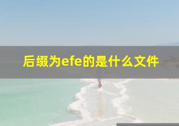 后缀为efe的是什么文件