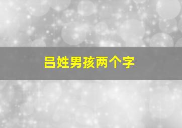 吕姓男孩两个字