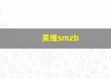 吴维smzb