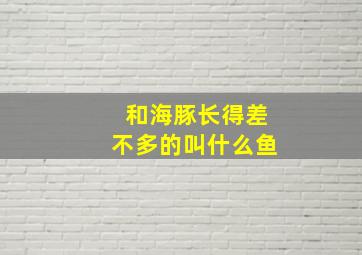 和海豚长得差不多的叫什么鱼