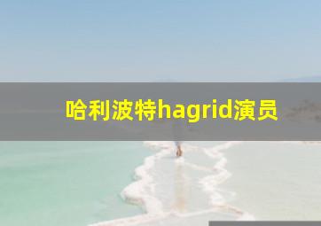 哈利波特hagrid演员