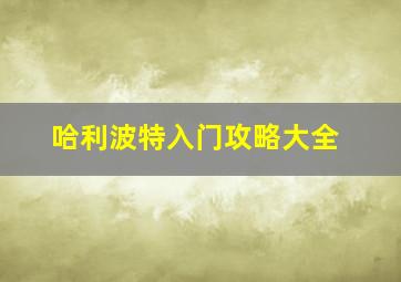 哈利波特入门攻略大全