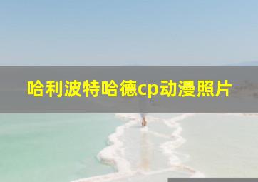 哈利波特哈德cp动漫照片