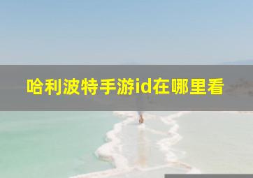 哈利波特手游id在哪里看