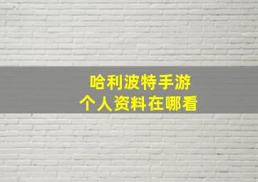 哈利波特手游个人资料在哪看