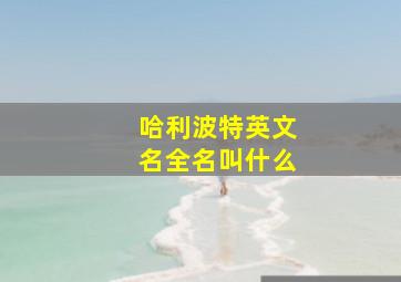 哈利波特英文名全名叫什么