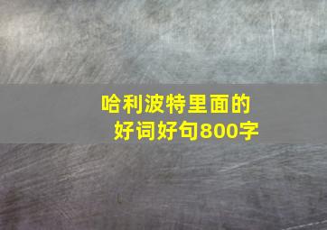 哈利波特里面的好词好句800字