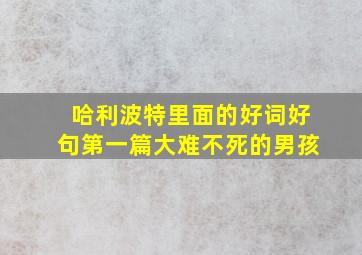 哈利波特里面的好词好句第一篇大难不死的男孩