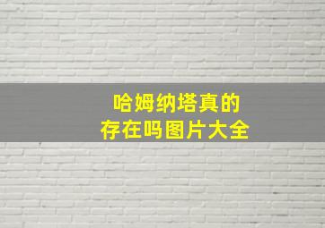 哈姆纳塔真的存在吗图片大全