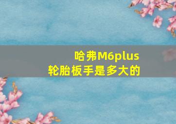 哈弗M6plus轮胎板手是多大的