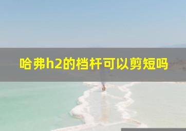 哈弗h2的档杆可以剪短吗