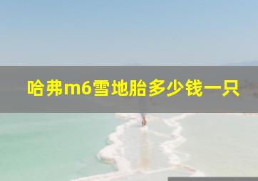 哈弗m6雪地胎多少钱一只