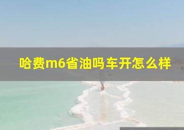 哈费m6省油吗车开怎么样