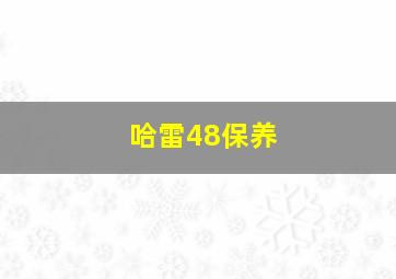 哈雷48保养