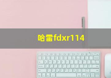 哈雷fdxr114