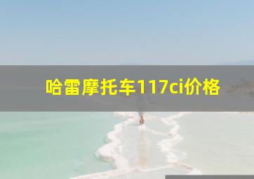 哈雷摩托车117ci价格