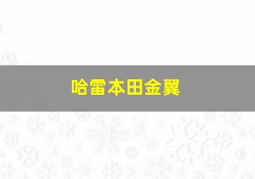 哈雷本田金翼