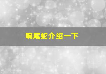 响尾蛇介绍一下