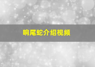 响尾蛇介绍视频