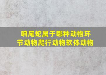 响尾蛇属于哪种动物环节动物爬行动物软体动物