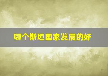 哪个斯坦国家发展的好