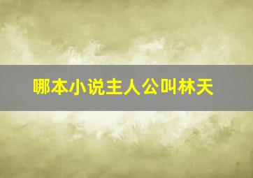 哪本小说主人公叫林天