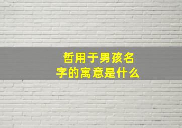 哲用于男孩名字的寓意是什么