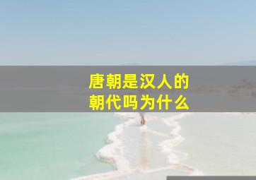 唐朝是汉人的朝代吗为什么