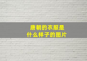 唐朝的衣服是什么样子的图片