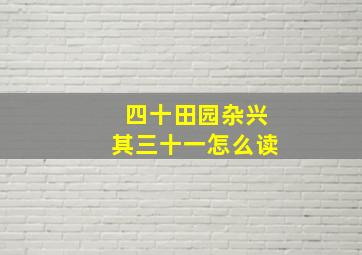 四十田园杂兴其三十一怎么读