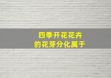 四季开花花卉的花芽分化属于