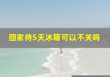 回家待5天冰箱可以不关吗