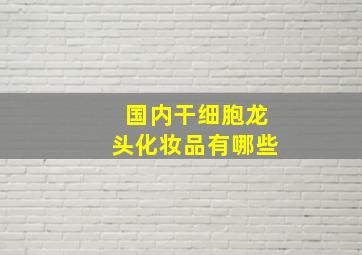 国内干细胞龙头化妆品有哪些