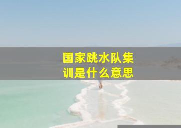 国家跳水队集训是什么意思