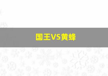 国王VS黄蜂