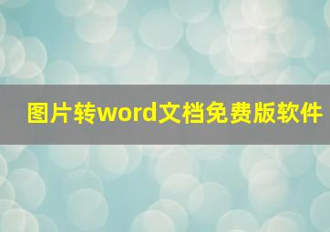 图片转word文档免费版软件